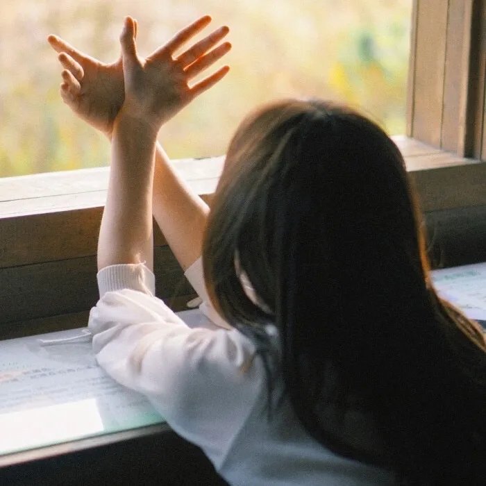 离婚后我成了前夫的白月光